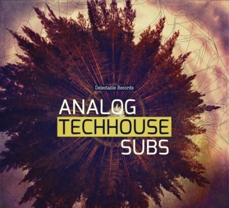 Delectable Records Analog Tech House Subs WAV